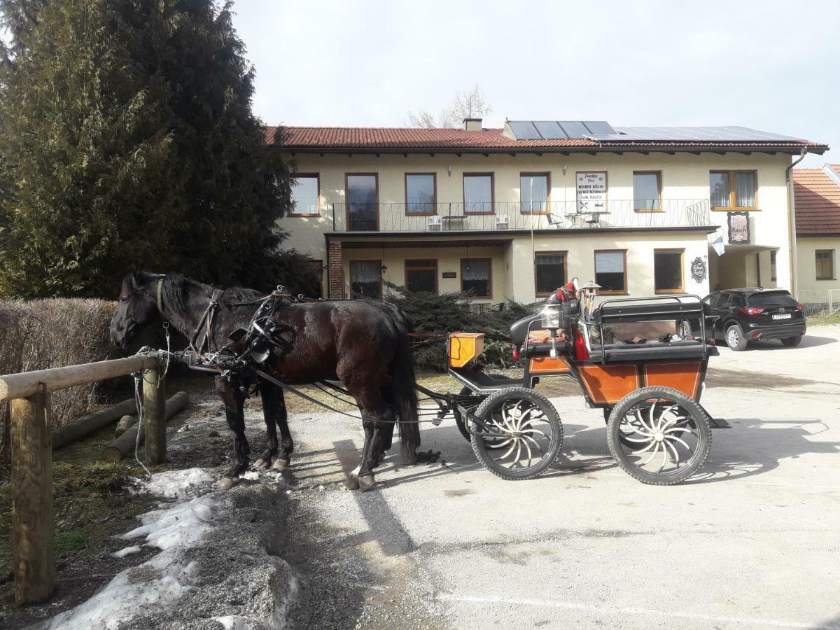 Отель Dorfwirtshaus Rauch Eschabruck Экстерьер фото